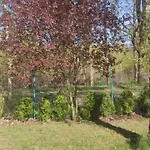 Lodge Barwy Lata