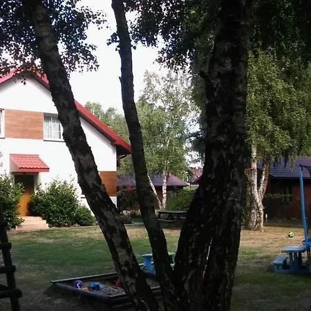 Barwy Lata