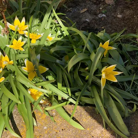 Barwy Lata * Rowy (Pomerania)