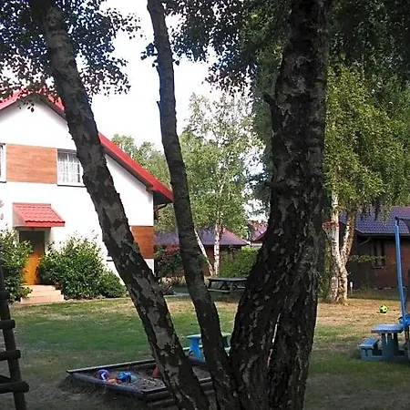 Barwy Lata *