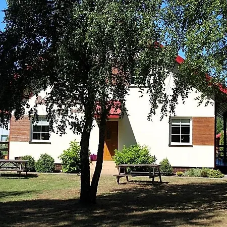 Barwy Lata